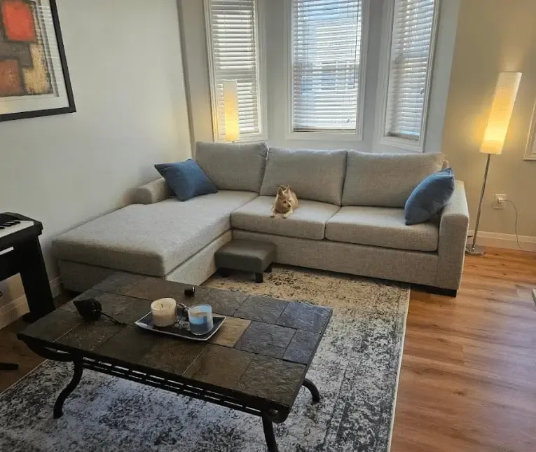 A SIXTREND grey sectional in a customer's home living room with a slate coffee table, area rug, framed art, and a small dog perched on the cushions.