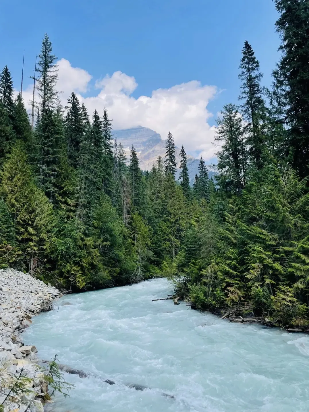 Glacial river running through evergreen forest with mountain peaks at Mount Robson Provincial Park, British Columbia