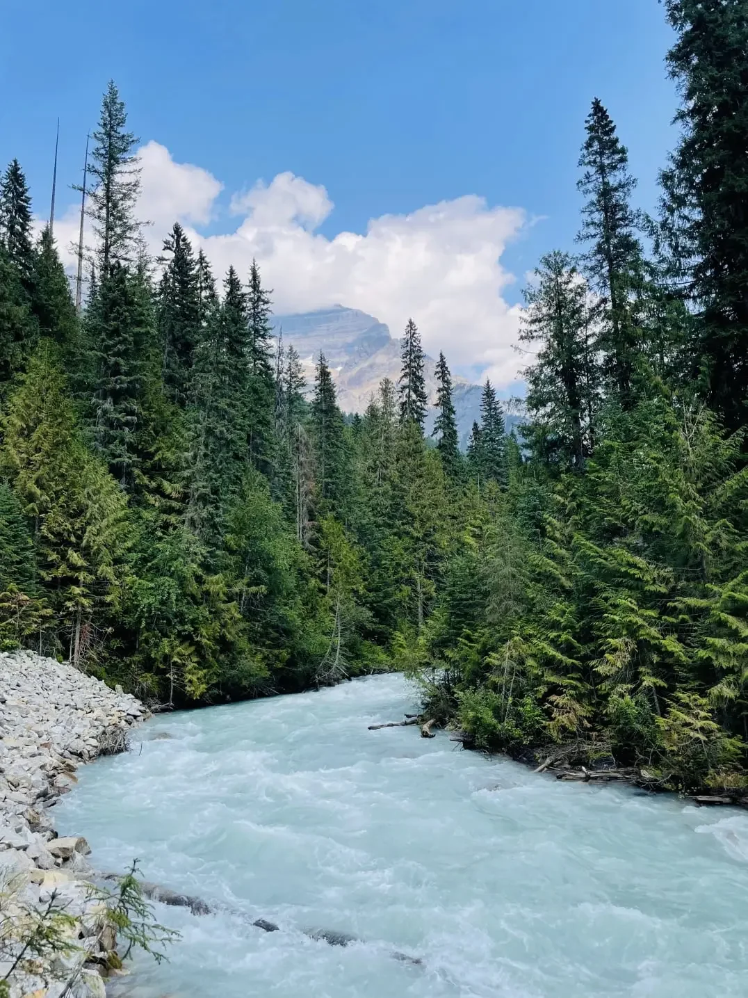 Glacial river running through evergreen forest with mountain peaks at Mount Robson Provincial Park, British Columbia