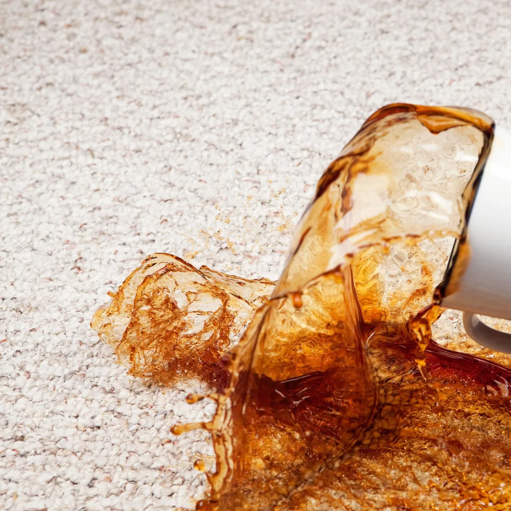 Spill & Stain Resistant Fabrics